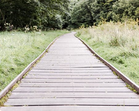 Ein Weg durchs Grüne als Symbol für den Karriereweg als Gesundheitscoach